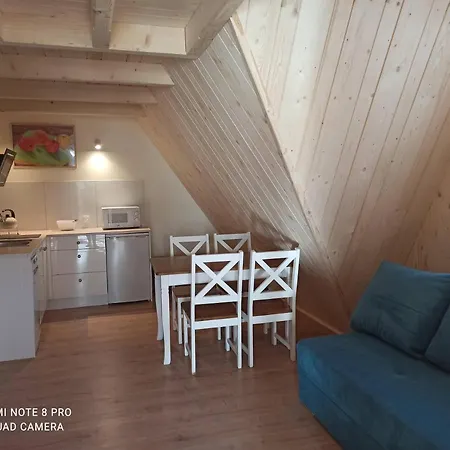 Pod Brzozami Appartement